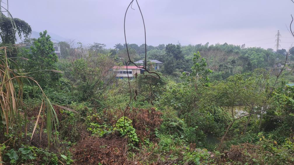 Đất thổ cư 100m² tại BOCA, Lương Sơn 1580m² - Cơ hội đầu tư tuyệt vời!