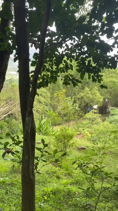 Đất nông nghiệp tại Hợp Tiến, Kim Bôi, Hòa Bình 4475m² - Cơ hội đầu tư tuyệt vời!