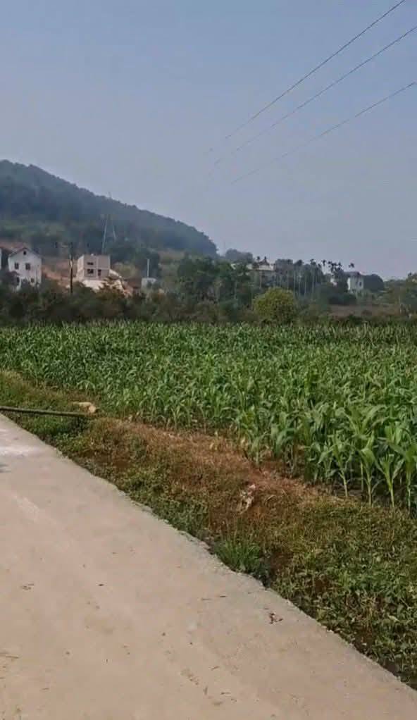 Đất thổ cư tại Suối Hai, Ba Vì 1400m² - Gần khu du lịch Ao Vua!