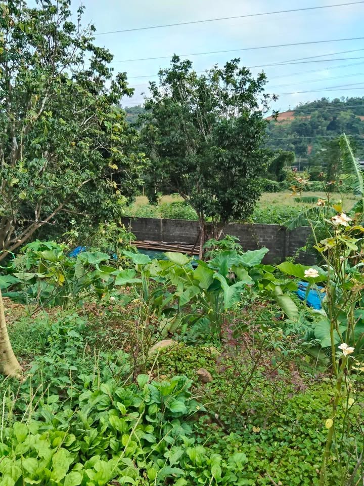 Đất nền Xóm Đồng Giang, Mông Hóa 384m² giá 1.5 tỷ - Cơ hội đầu tư sinh lời!