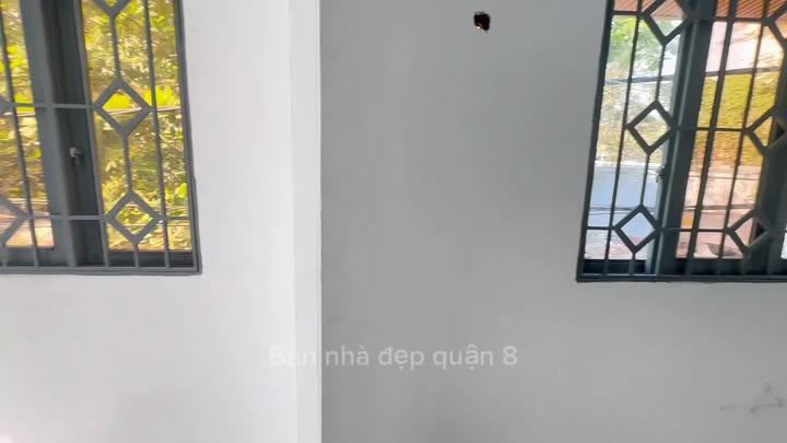 Nhà Bán Hẻm 6m Đường Cao Lổ, Quận 8, Diện Tích 24m² Chỉ 1.88 Tỷ