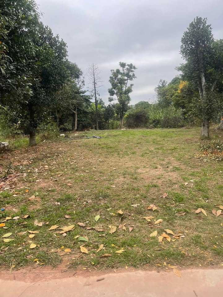 Đất thổ cư 166m² tại xã Đồng Kỳ, Yên Thế - Giá chỉ 700 triệu!