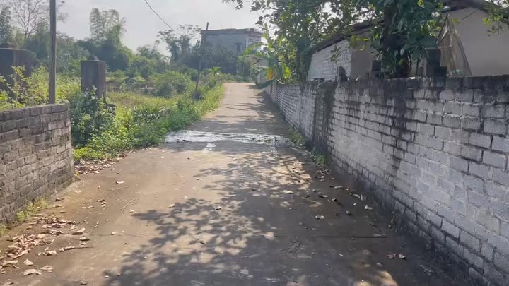 Lô vườn tại Thôn Dầm Chúc, Yên Thế, Bắc Giang 3500m² - Phù hợp làm trang trại nghỉ dưỡng!