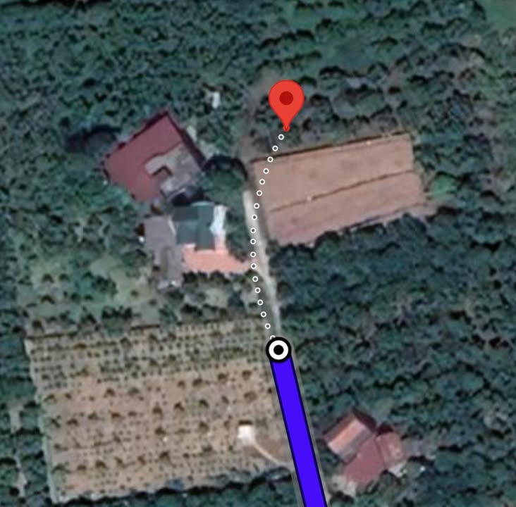 Đất thổ cư Hẻm cụt, TDP Hợp Thành, Lục Ngạn 2300m² - Giá chỉ 1 tỷ