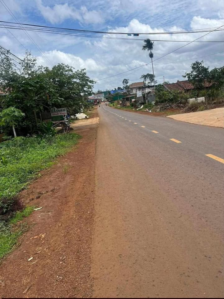 Đất thổ cư 1200m² mặt đường nhựa xã Thuận Hạnh chỉ 970 triệu - Cơ hội đầu tư tốt!