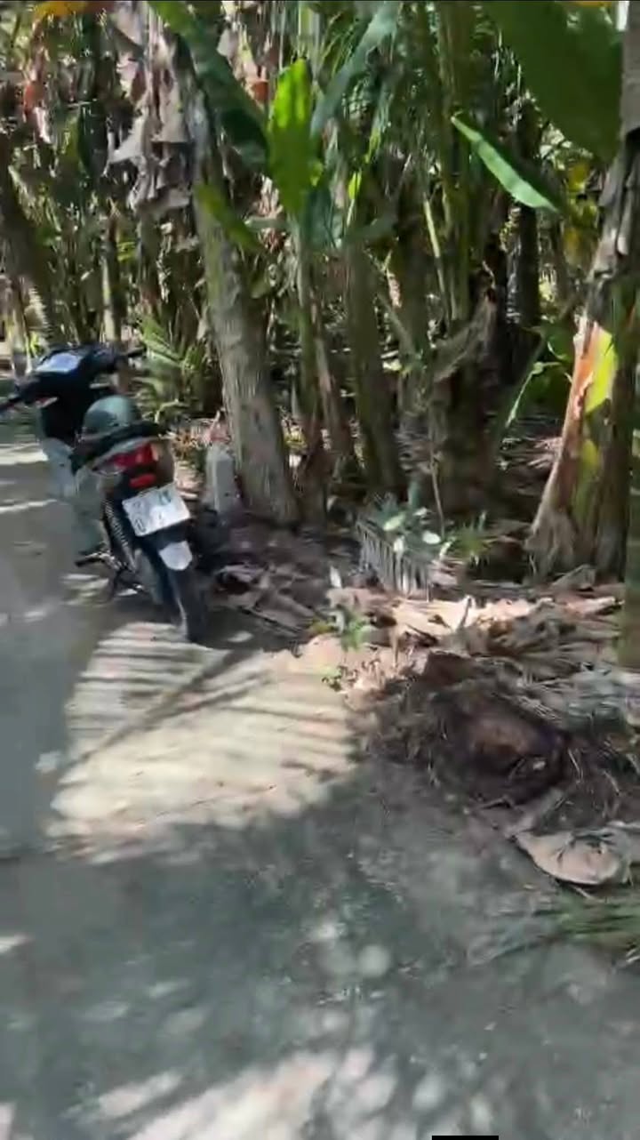 Đất nền 600m² xã Đại Ngãi, Long Phú - Giá chỉ 300 triệu VND, thương lượng ngay!