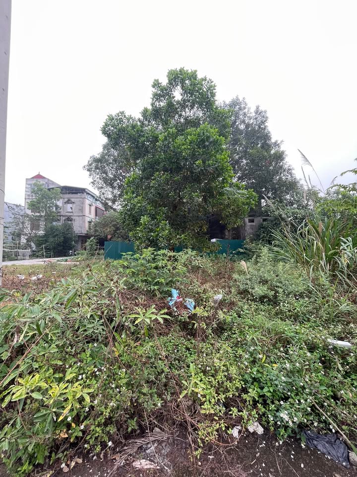 Đất nền Huyện Ứng Hòa 80m² giá 4 tỷ - Mặt tiền 5m gần trung tâm thương mại