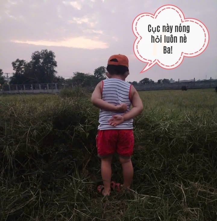 Đất nền Hóc Môn 3500m² giá 60 tỷ - Cơ hội đầu tư không thể bỏ lỡ!