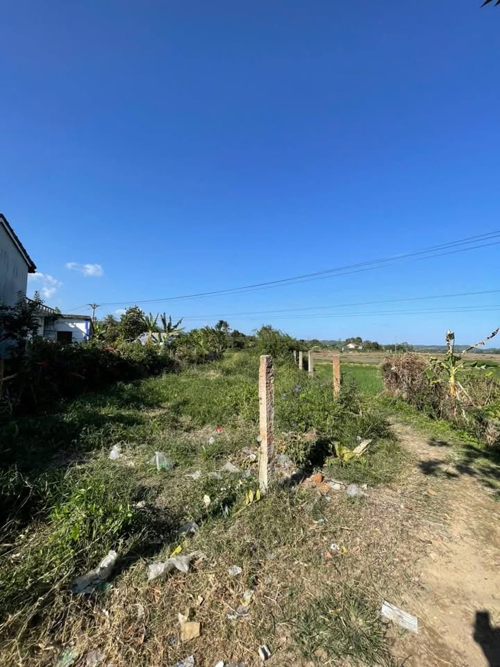 Đất nền Hòa Quang Bắc 211.4m² giá chỉ 300 triệu - Tiềm năng đầu tư lớn!