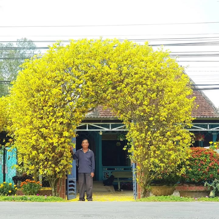 Đất nền kiệt đối lưng Nguyễn An Ninh, 100m², giá 5.3 tỷ - Cơ hội đầu tư hấp dẫn!