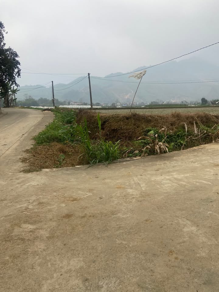 Đất nền Mỹ Lung Yên Lập 277m² giá chỉ 900 triệu - Đầu tư sinh lời ngay!