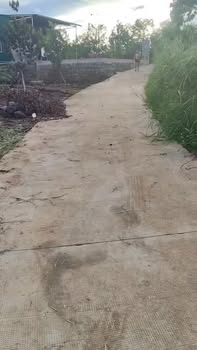 Đất thổ cư 1800m² tại Thôn 10, Hòa Phú - Chỉ 350 triệu