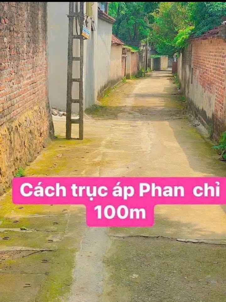 Đất nền Phú Cát Quốc Oai 135m² giá 1.7 tỷ - Cơ hội đầu tư hiếm có!