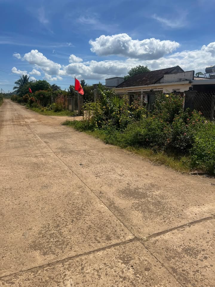 Đất nền thổ cư 220m² tại Tân Hội, Đức Trọng - Giá chỉ từ 600 triệu!