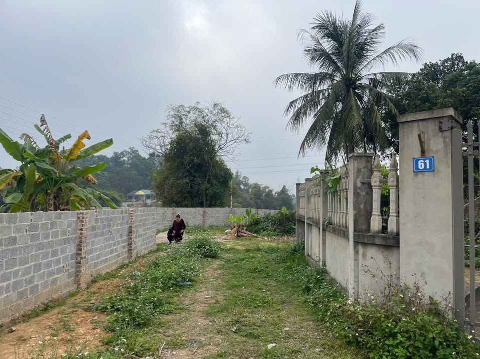 Lô đất Phú Xá 400m² giá chỉ 1 tỷ - Cơ hội đầu tư tuyệt vời!