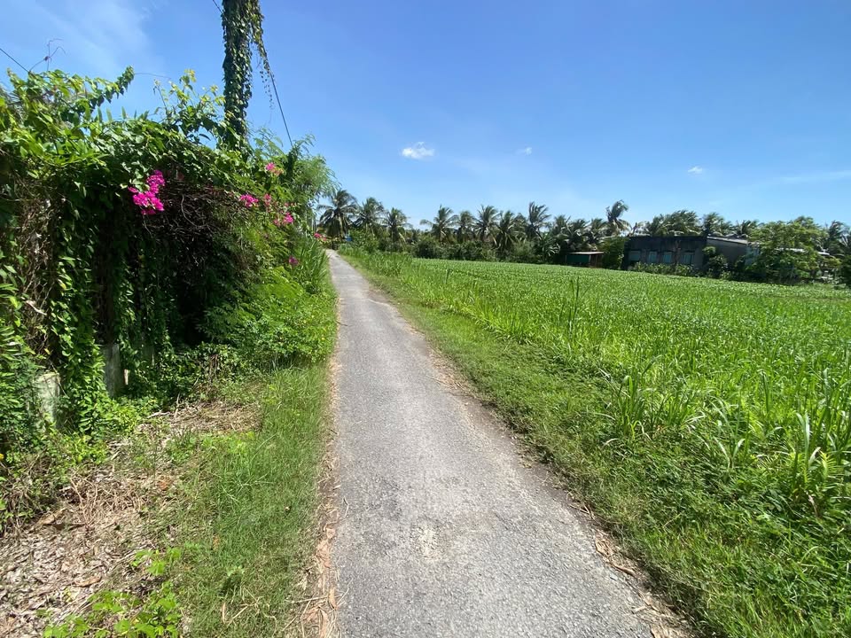 Đất thổ cư Xã Tân Hương, Châu Thành, Tiền Giang 503m² - Giá 660 triệu, thương lượng!