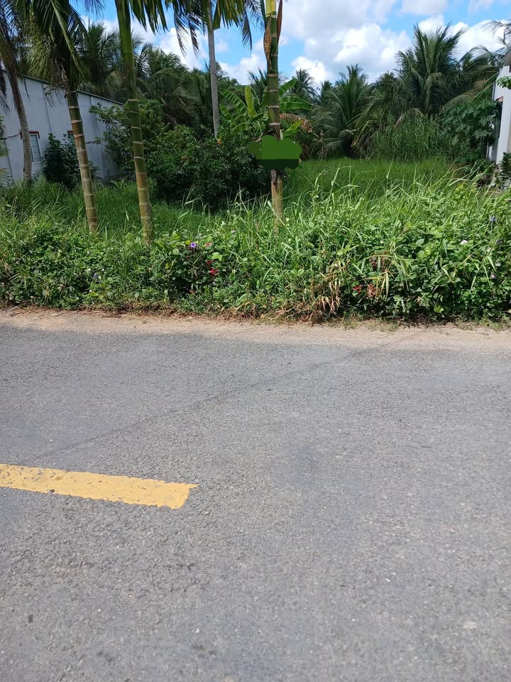 Đất thổ cư 141m² tại Ấp Lo Co A, Huyện Càng Long, chỉ 750 triệu - Cơ hội đầu tư lý tưởng!