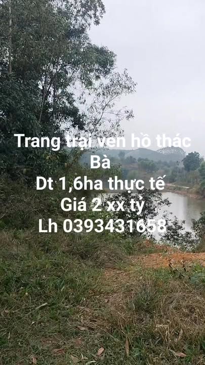 Trang trại nhỏ xinh ven hồ Thác Bà, 1,1ha giá 2 tỷ - View thoáng đãng, ô tô vào tận nơi!