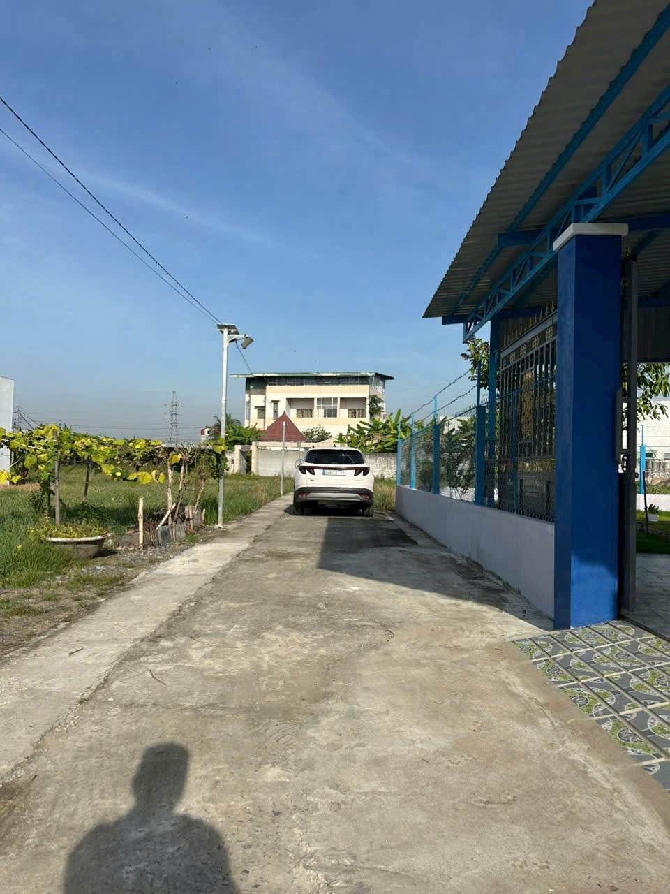 Nhà vườn đẹp 262.8m² tại An Nhựt Tân, Tân Trụ - Giá 2.65 tỷ, sẵn sàng vào ở!