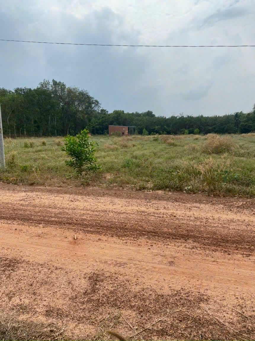 Đất nền Dầu Tiếng 1000m² giá 390 triệu - Cơ hội đầu tư hiếm có!