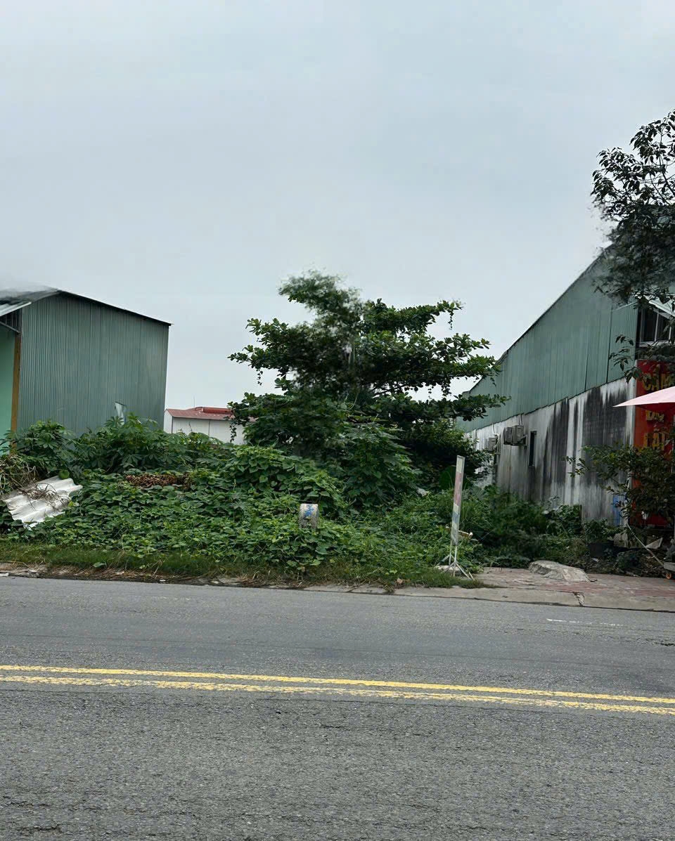 Đất nền Thạnh Xuân 125m² giá 5.5 tỷ - Vị trí đắc địa gần Metro số 2!