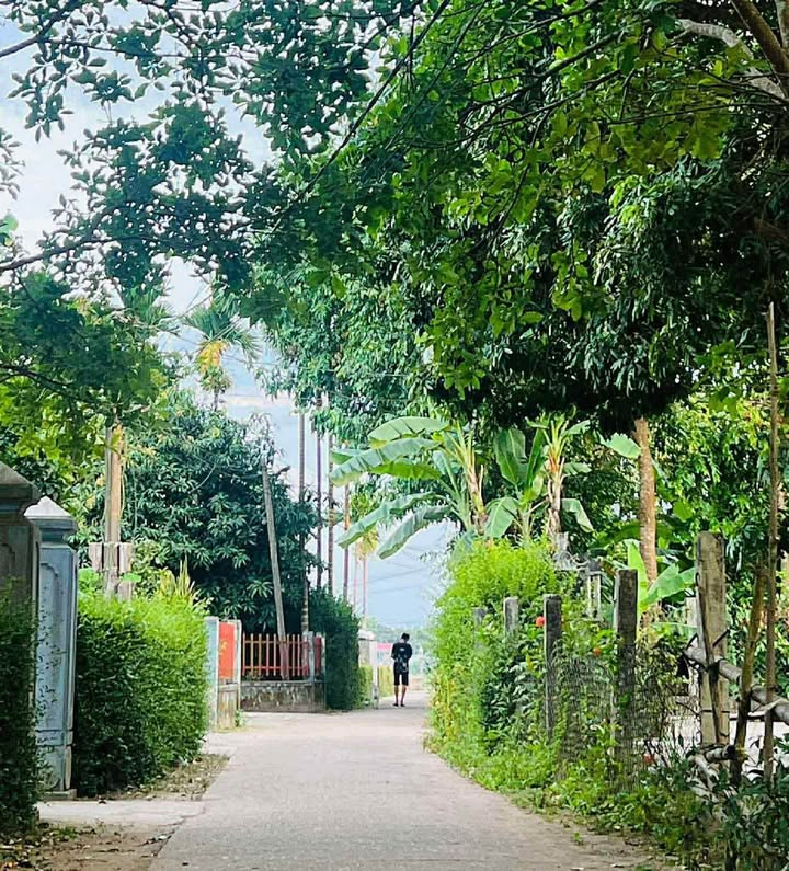 Đất nền Phường 1, Thị xã Quảng Trị 162m² giá 195 triệu - Cơ hội đầu tư hấp dẫn!