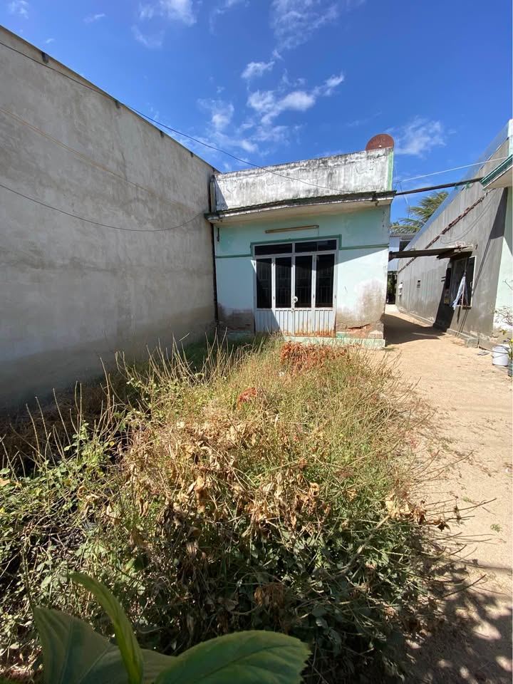 Đất thổ cư 100m² Hộ Hải, Ninh Hải chỉ 430 triệu - Cơ hội đầu tư hấp dẫn!