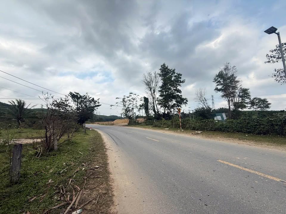 Đất thương mại dịch vụ 6400m² xã Kim Thủy, giá 3 tỷ - Cơ hội đầu tư hấp dẫn!