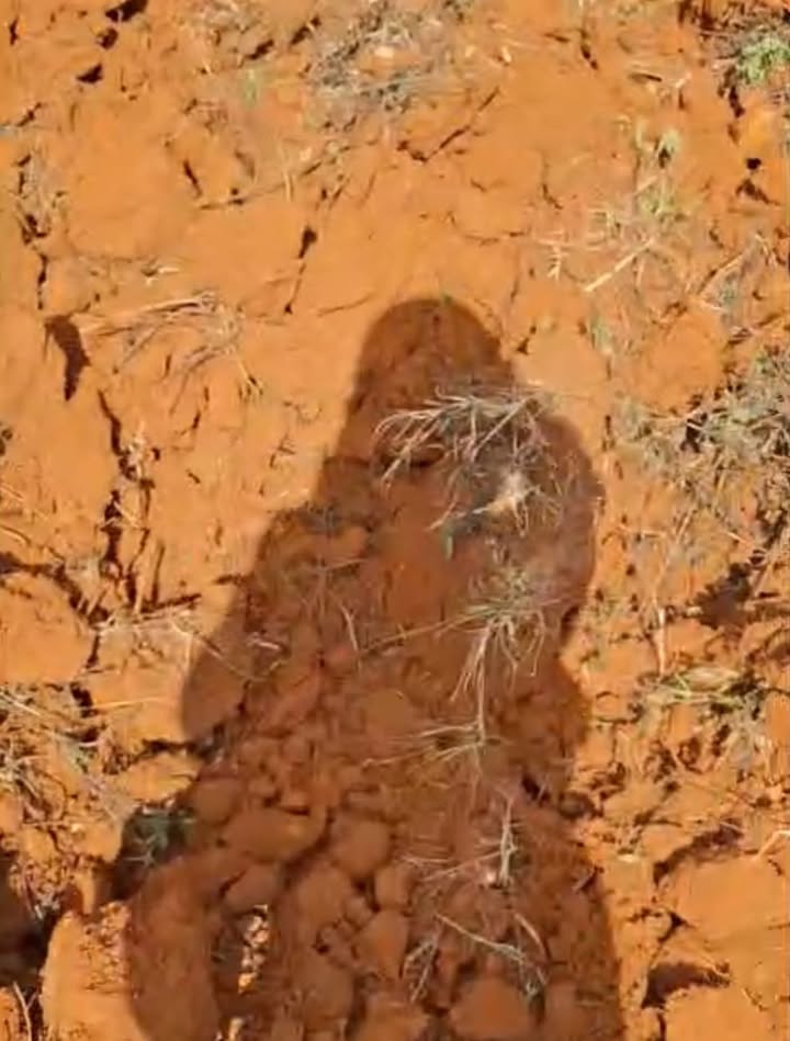 Farm cho thuê tại Thôn 4, Gia Lâm, Lâm Hà 1,3ha giá chỉ 70 triệu/năm - Đất bằng phẳng, sẵn sàng sản xuất!