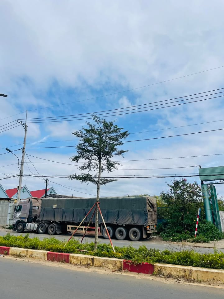 Đất mặt tiền Lê Đại Hành, Pleiku 1311m² giá 13.11 tỷ - Cơ hội đầu tư hấp dẫn!