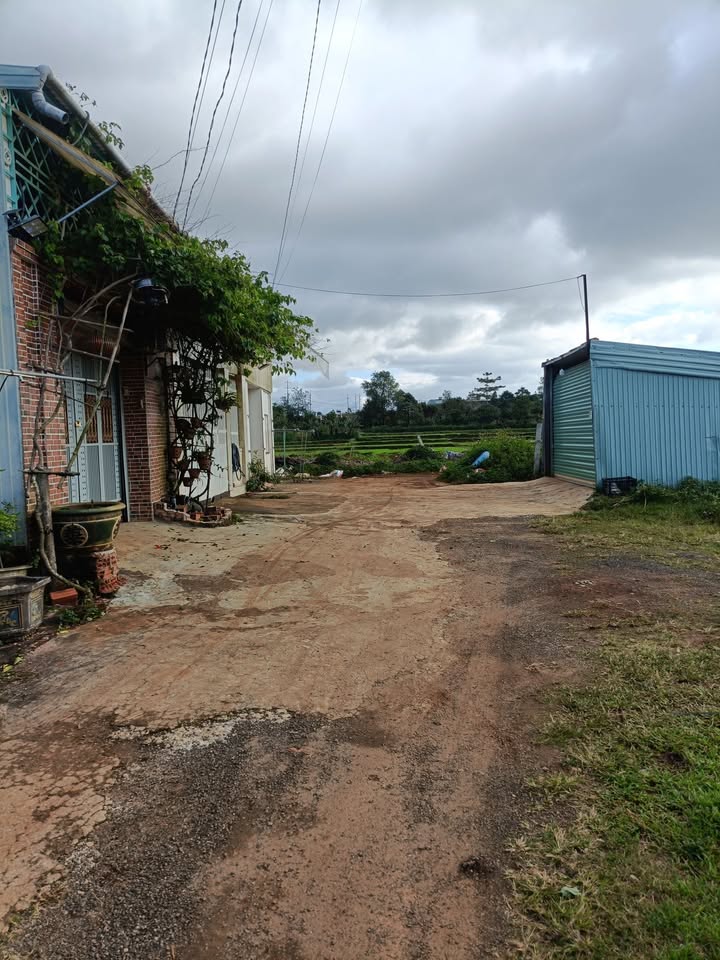 Đất nền hẻm 441 Lý Thái Tổ, 125m² giá 900 triệu - Cơ hội đầu tư hấp dẫn!