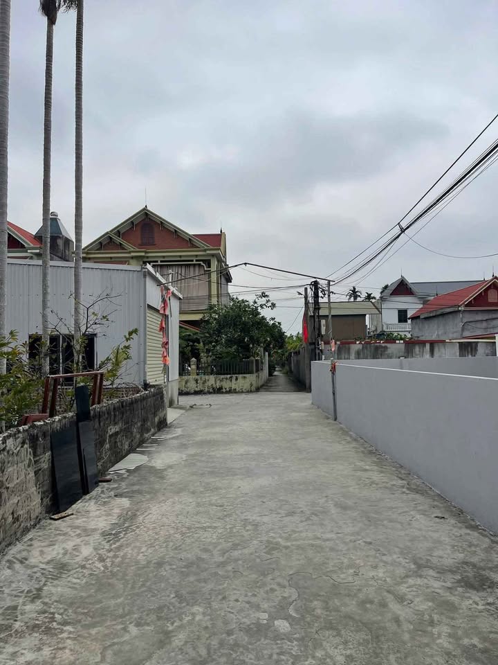 Đất nền 60m² Thôn Nhu Kiều, Xã Quốc Tuấn, Huyện An Lão - Lô góc 2 mặt tiền