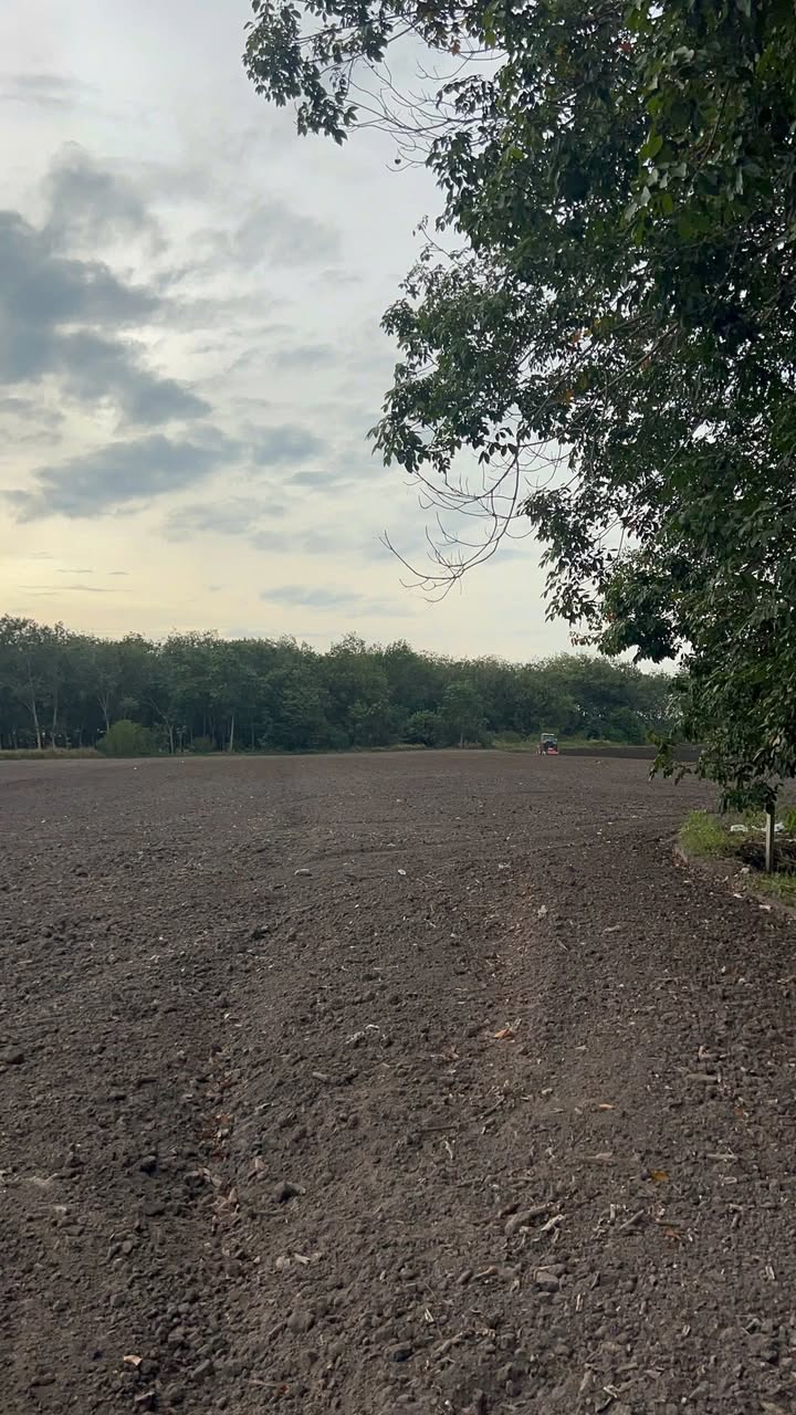 Đất nông nghiệp 37.000m² tại Tân Hiệp, Tân Châu giá 5 tỷ - Cơ hội đầu tư hấp dẫn!