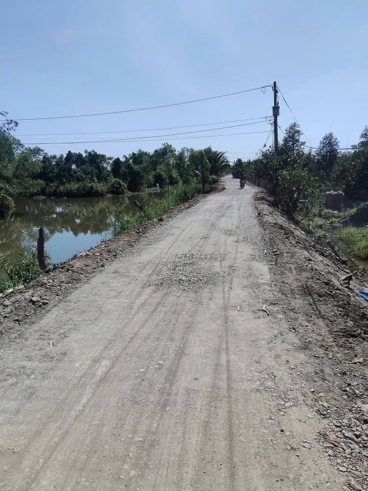 Farm 6000m² tại xã Mỹ Tân, huyện Cái Bè - Đầu tư sinh lời nhanh chóng!