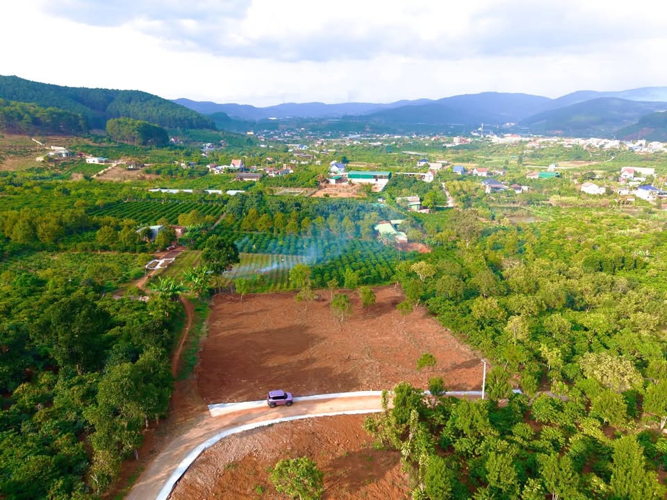 Đất nền Đà Lạt 100m² giá 1.699 tỷ - VIEW ĐẸP, GIÁ TỐT!