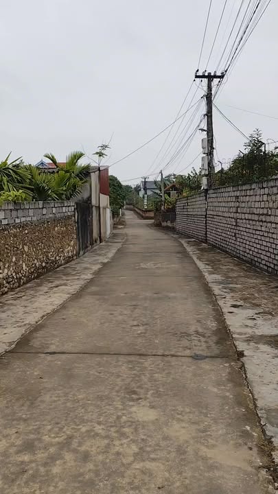 Đất thổ cư Lan Mẫu, Lục Nam 230m² giá thỏa thuận - Đầu tư lý tưởng cho F0