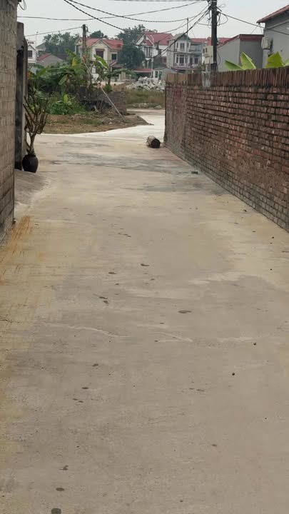 Đất nền Đoan Bái, Hiệp Hòa, Bắc Giang 100m² giá 1 tỷ - Đầu tư sinh lời ngay!