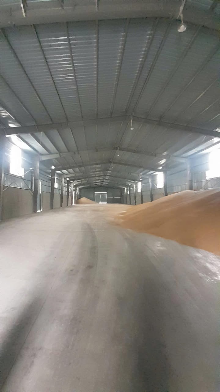 Nhà xưởng cho thuê tại Hải Phòng 2000m² - Giao thông thuận tiện!