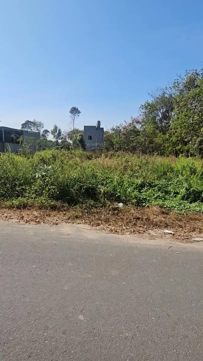 Đất mặt tiền đường Tân Hiệp 10, Quận 12, 160m² giá 1.6 tỷ - Cơ hội đầu tư lý tưởng!