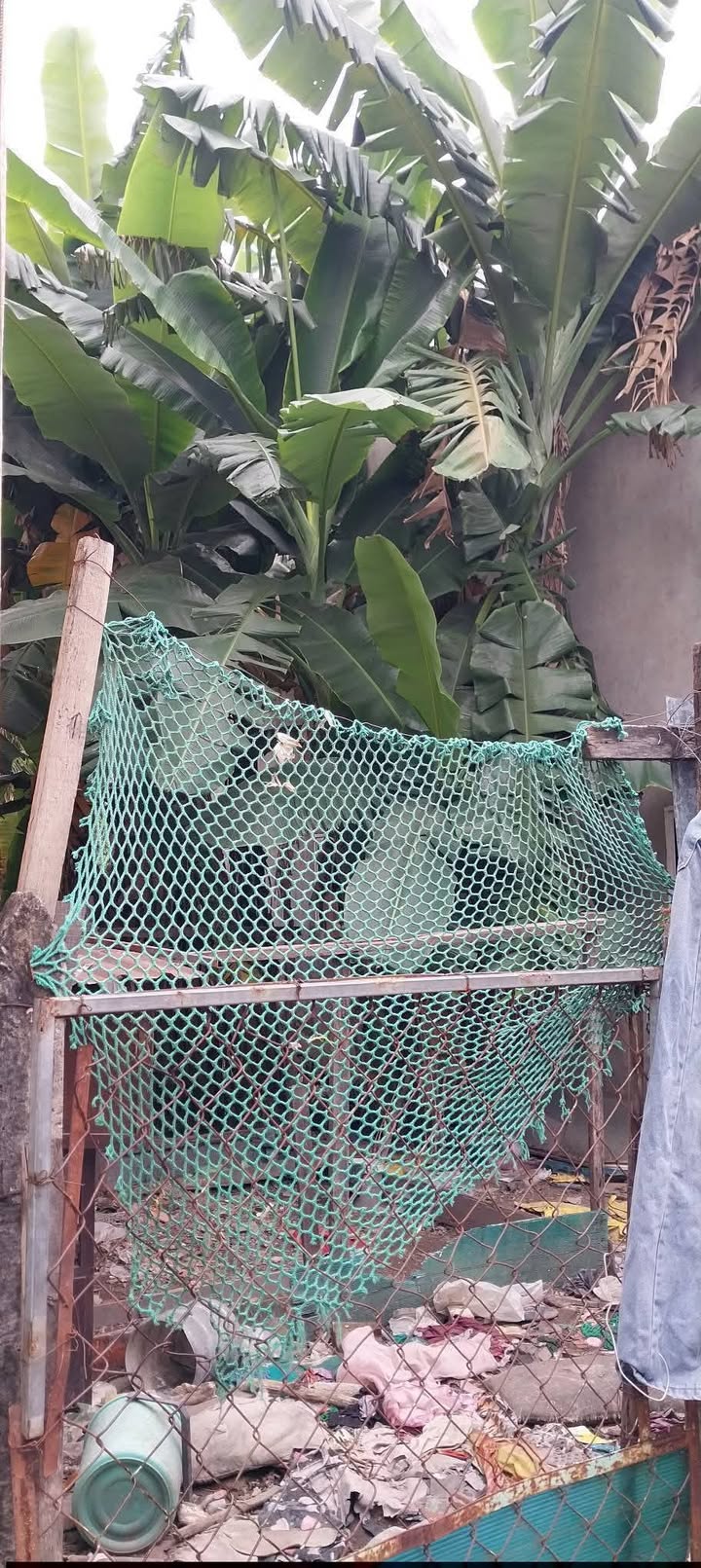 Đất nền 70m² tại Ấp Mỹ Huề 1, Hóc Môn giá 900 triệu - Sổ đỏ chính chủ, thương lượng!