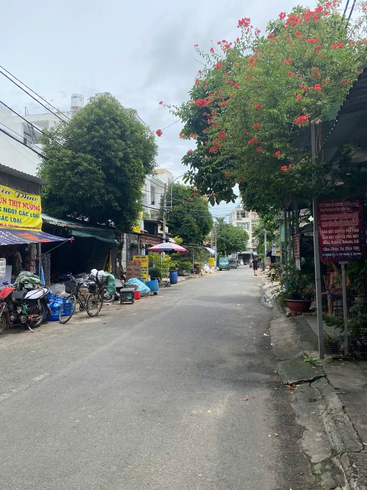 Nhà mặt tiền đường D11, quận Tân Phú 100m² giá 11 tỷ - Kinh doanh thuận lợi!