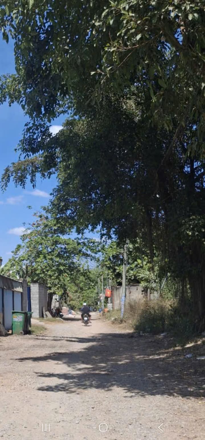 Đất nền KP4, Phường 8, Quận 6, 245m² giá 1.9 tỷ - Sổ hồng chính chủ, đầu tư sinh lời!