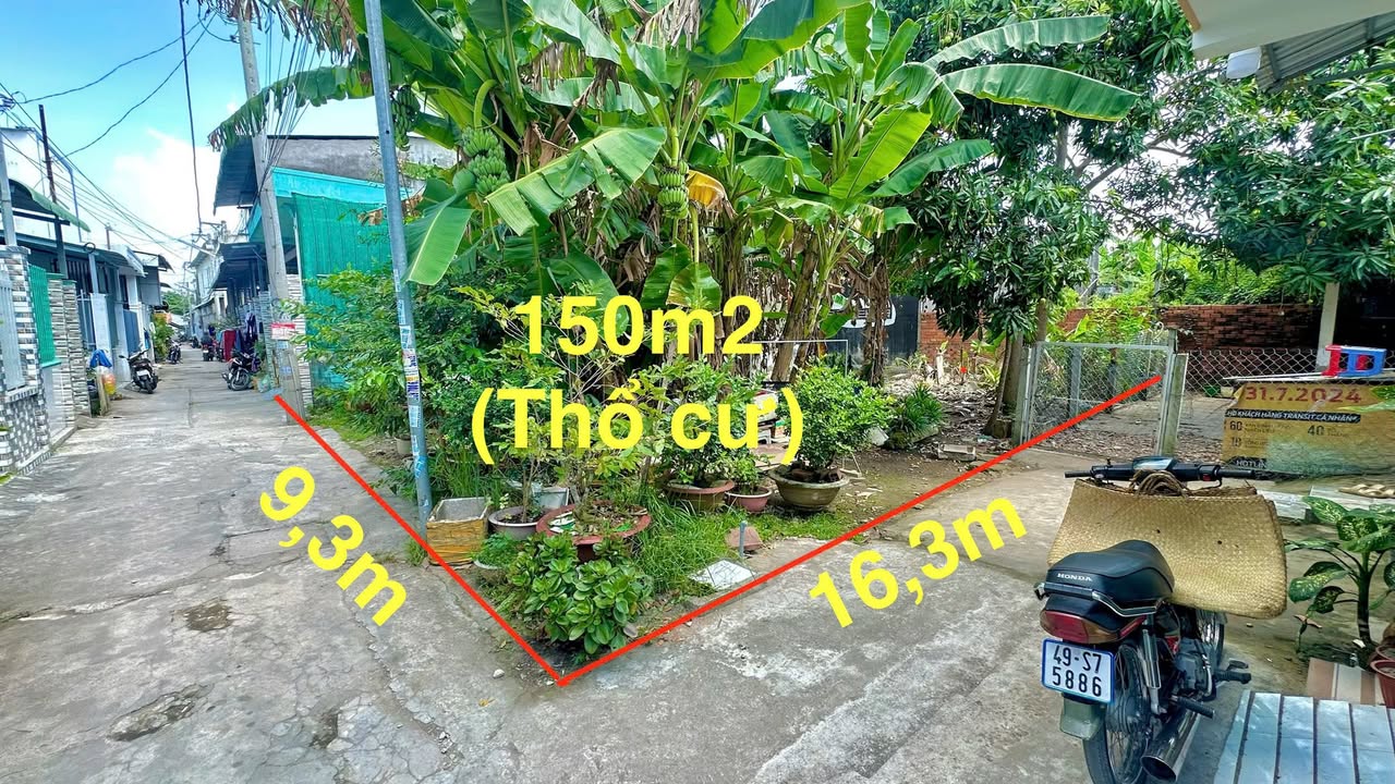 Đất nền góc 150m² tại Hẻm 278 Tầm Vu, giá 3.1 tỷ - Sổ hồng riêng, thổ cư đầy đủ!