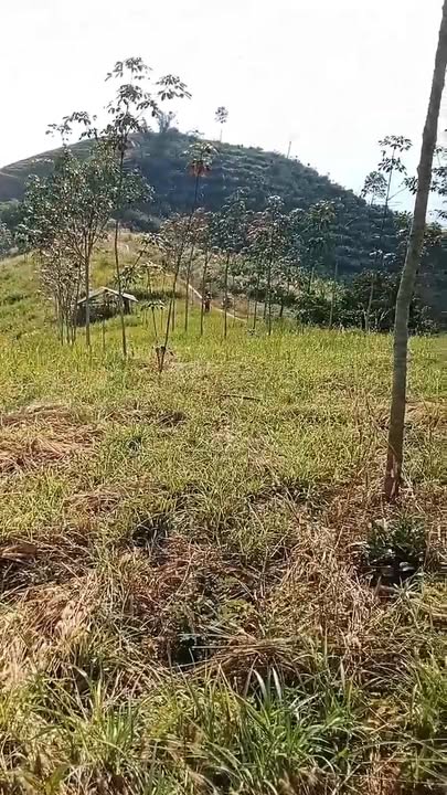 Đất nền xã Nâm Nung, huyện Krông Nô, 3,6ha giá chỉ 1,25 tỷ - Cơ hội đầu tư hấp dẫn!