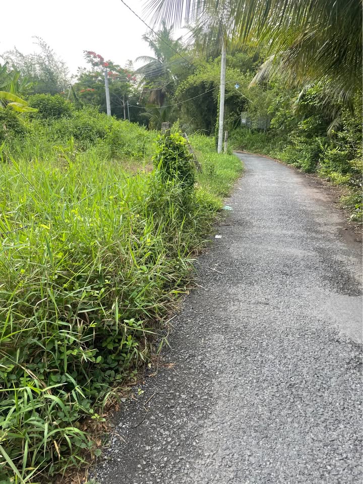 Đất thổ cư Tân Thuận A, Châu Thành 217m² giá 700 triệu - Sổ hồng chính chủ!