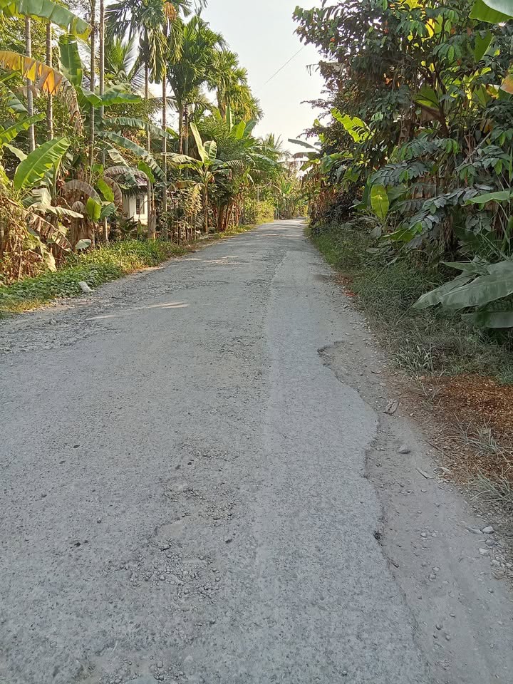 Đất nền 490m² tại Ấp 9, Huyện Kế Sách, Sóc Trăng - Đầu tư sinh lời ngay!