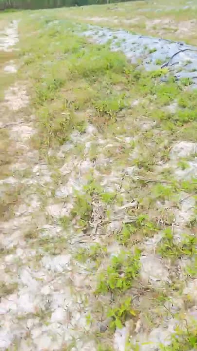 Đất Farm 4ha tại Sơn Phước, Sơn Hòa - Giá chỉ 1.08 tỷ - Sổ đỏ chính chủ!