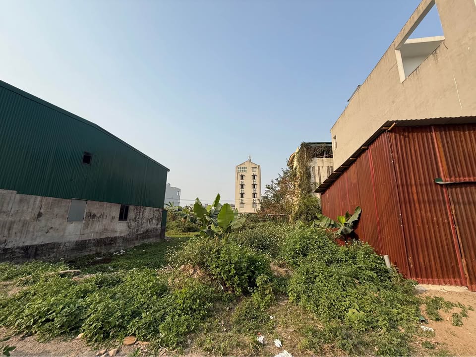 Đất bán Phúc Trì, Nam Thành, Ninh Bình 90m² - Giá thỏa thuận, vị trí trung tâm!