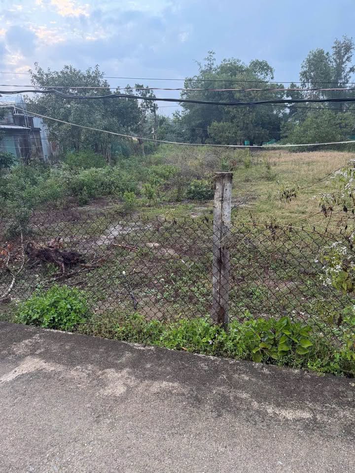 Đất nền Thôn Lạc Câu, Thăng Bình 1100m² - Giá chỉ 1.5 tỷ, không cấn tâm linh!