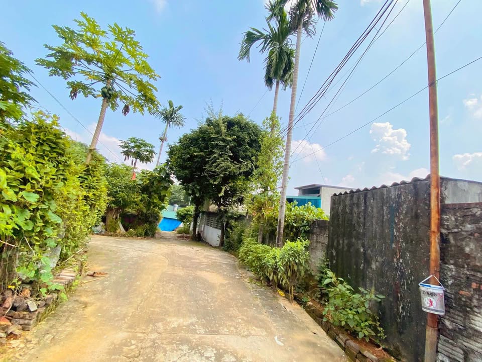 Đất nền Phường Hưng Thành 200m² giá 2 tỷ - Cơ hội đầu tư tuyệt vời!